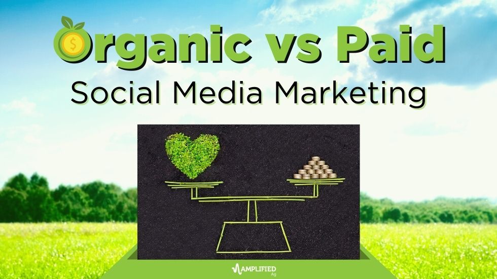 Organic vs Paid Social Media Marketing