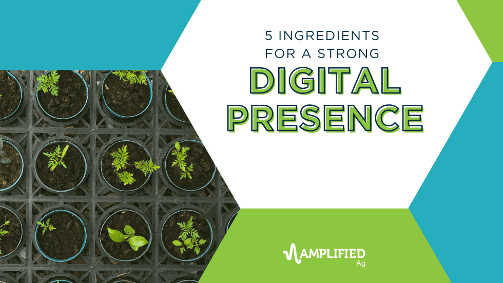 5 Ingredients for a Strong Digital Presence